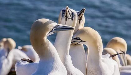 fb体育登录入口-青训机构建立家校合作机制强化学生自律管理，建立健全家校合作机制