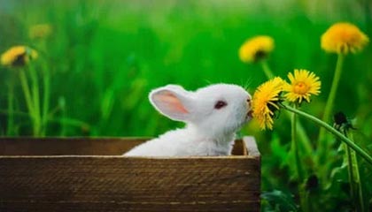 fb体育登录入口-青训机构建立家校合作机制强化学生自律管理，建立健全家校合作机制