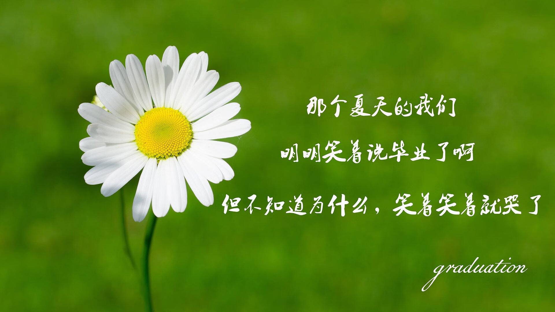 凯撒酋长主场迎战奥兰多海盗，德比战备受关注，凯撒大帝与海盗