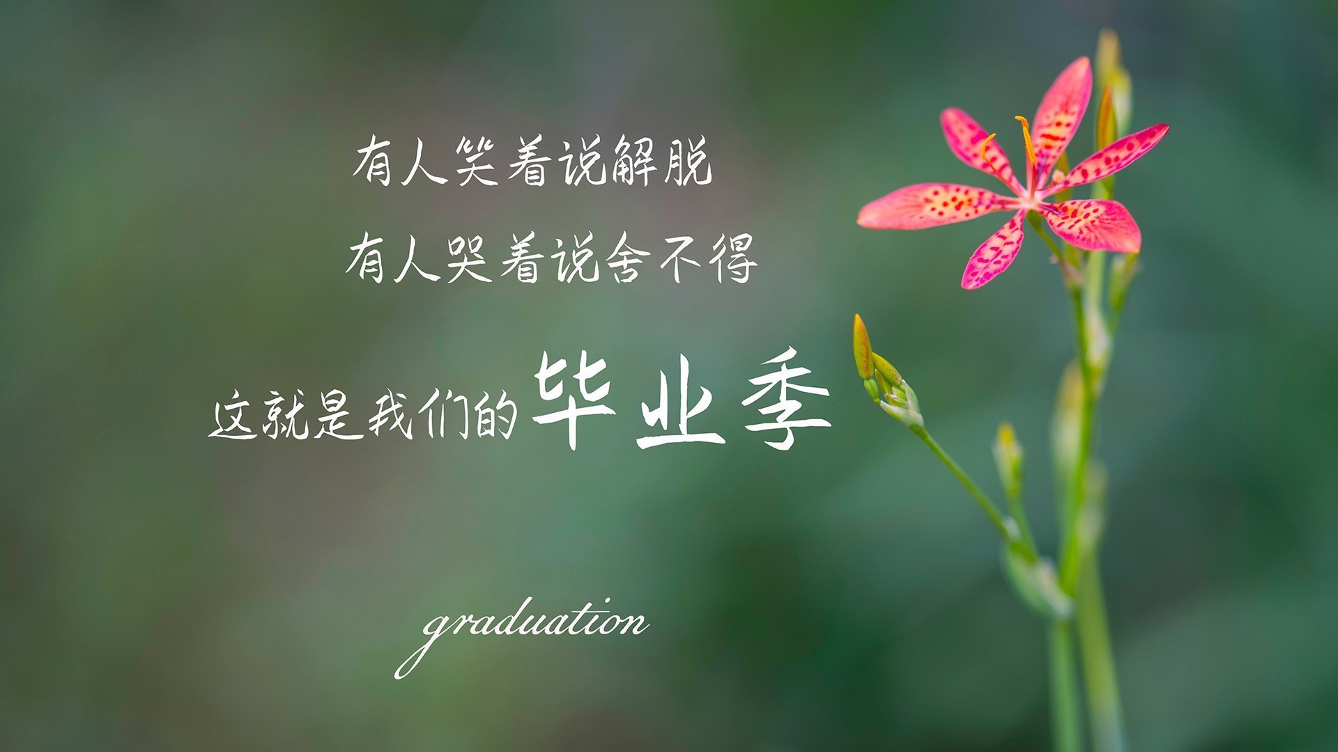 瑞典选手 Brollan 加入 Fnatic，期待带队复苏，瑞典buff