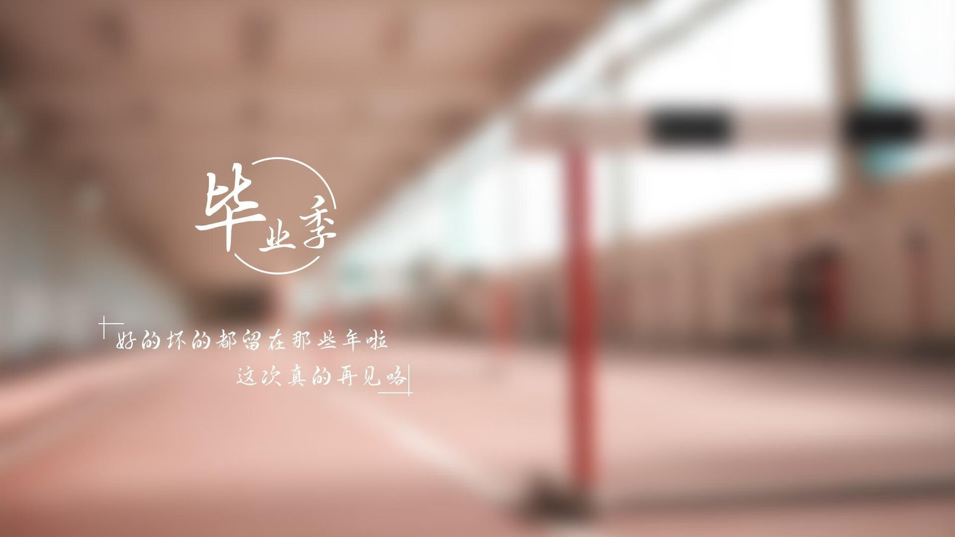 美国队连战连胜西班牙，取得胜利，美国队vs西班牙得分