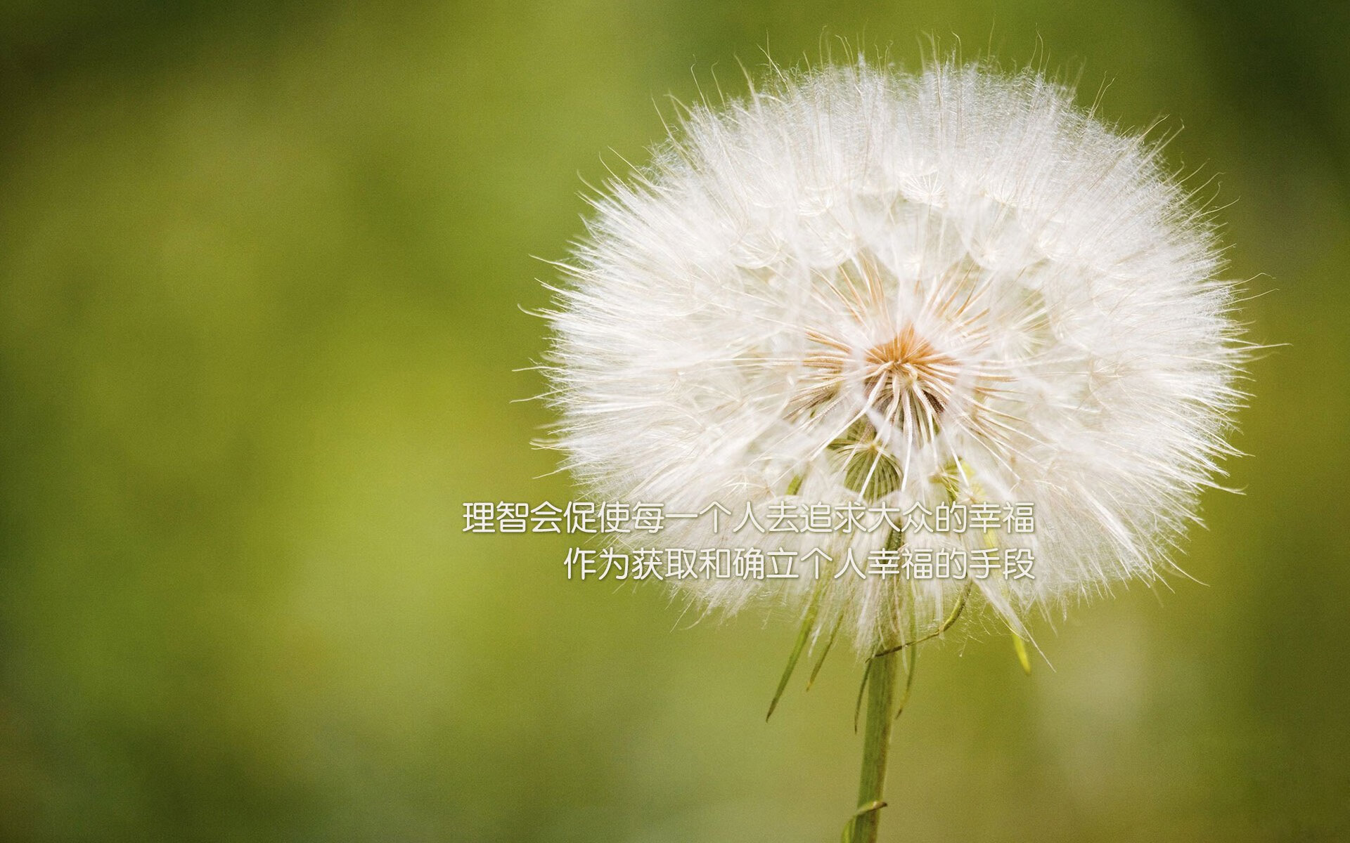 法甲防守战术调整对比赛节奏与犯规率的影响分析，法甲比赛规则