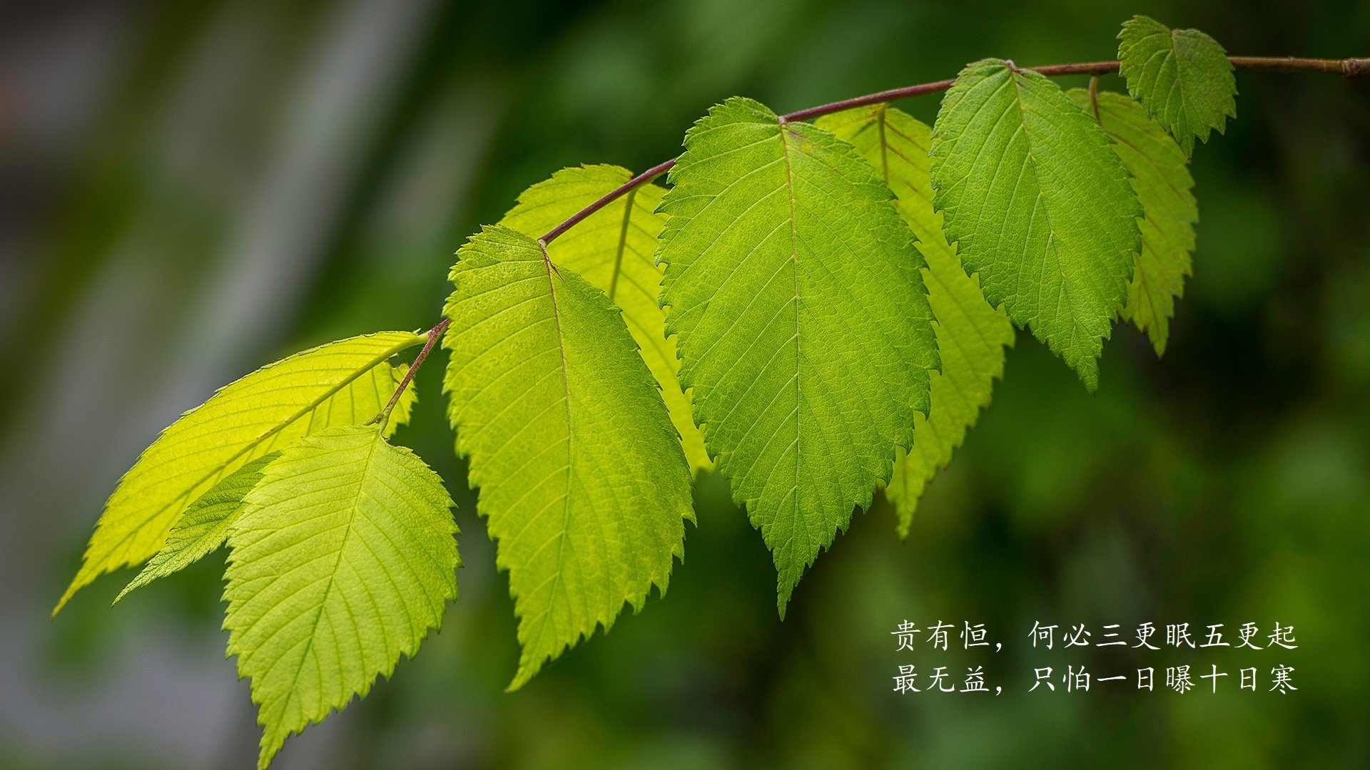 体育新闻中心建设高校体育新闻实训基地示范项目，学校体育新闻稿范文