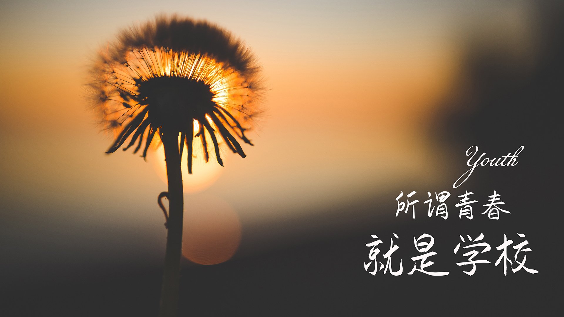 英超球队的多平台内容制作，英超球队的特点